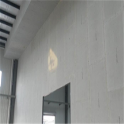 石龙宁波ALC板|EPS加气板隔墙与混凝土整浇联接的实验研讨